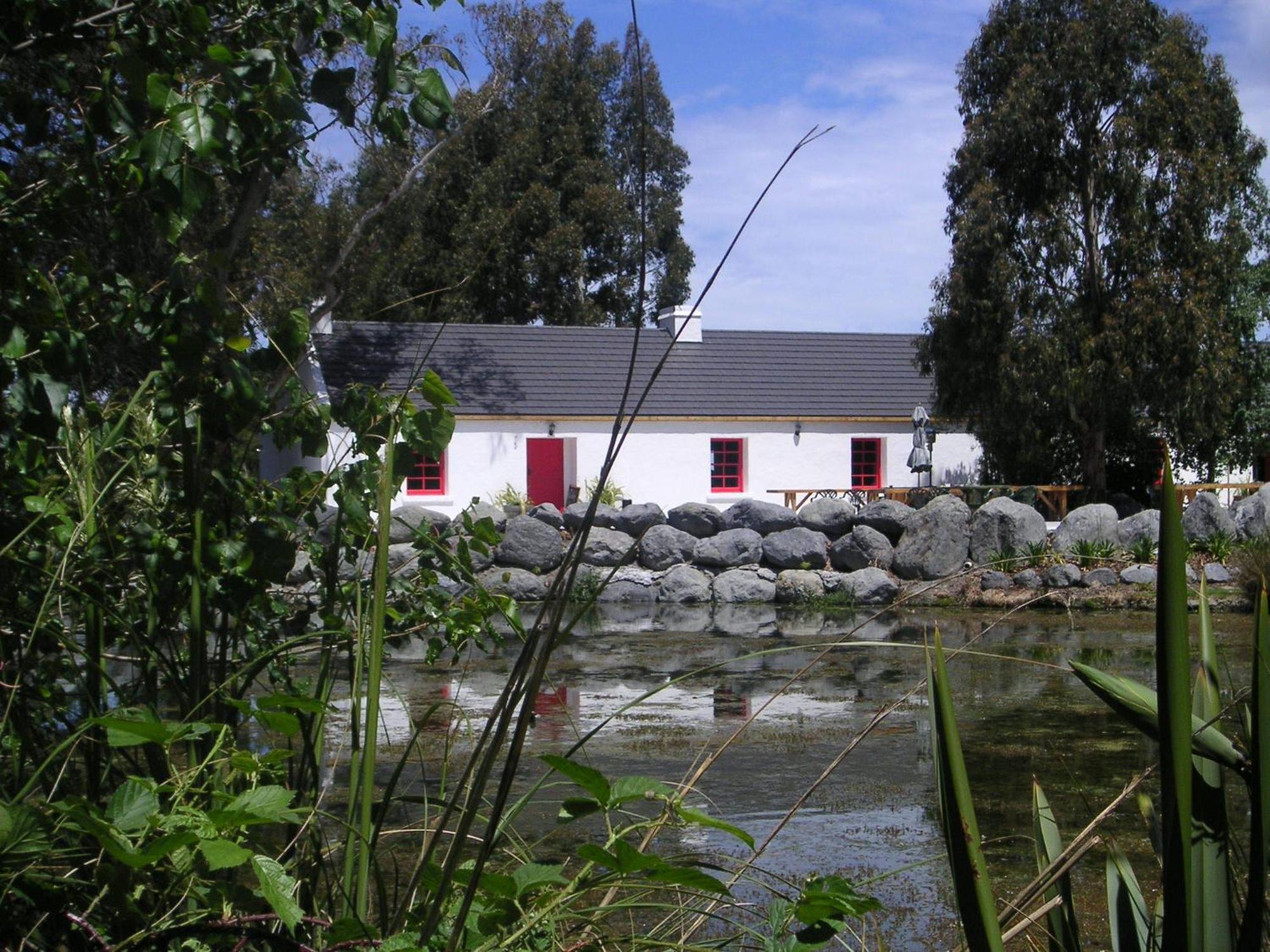 מלון קאיקורה Donegal House מראה חיצוני תמונה